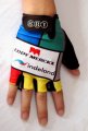 2012 Eddy Merckx Cycling Gloves