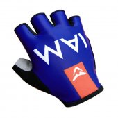 2017 IAM Cycling Gloves